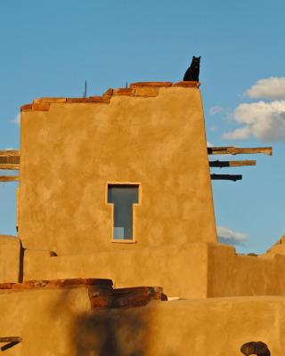 Canyon Of The Ancients Guest Ranch