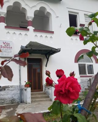 Vila Ana Lăcrămioara Concept