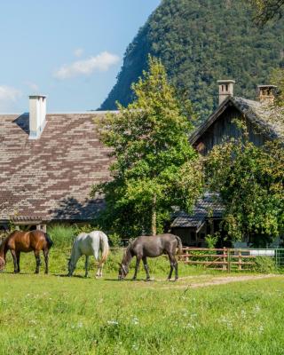 Charming blacksmith`s house @ Lake Bohinj