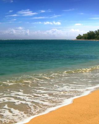 Maui Vista - Kihei Kai Nani Beach Condos