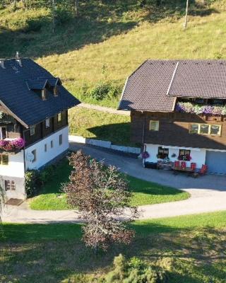Appartement VIDMAR-FERIENGLÜCK