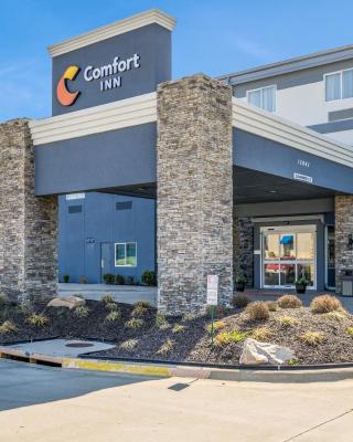 Comfort Inn Bonner Springs Kansas City