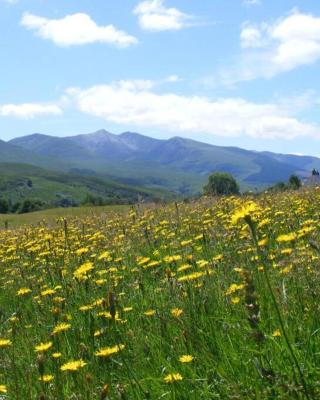 Cul Darach Lodge, Glen Roy Nature Reserve