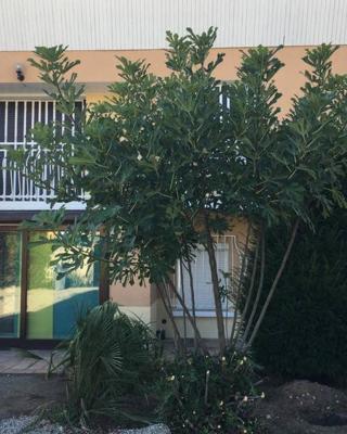 Irigny: Maison calme à 10 minutes de Lyon