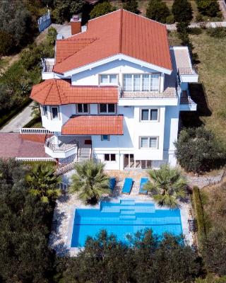 Villa Salo