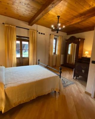Bed and Breakfast La Volpe tra le Vigne