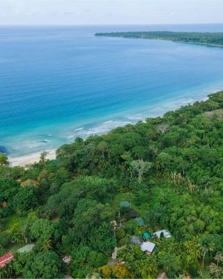 Bungalows Aché Cahuita