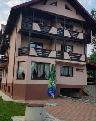 Casa Alesia Bucovina