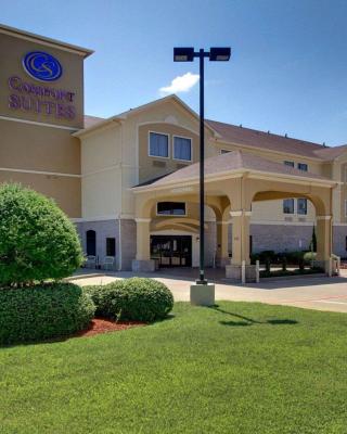 Comfort Suites Tyler South