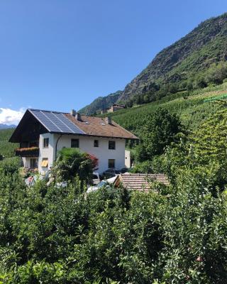 Pixnerhof - Urlaub am Biohof