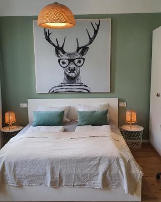 Apartment 23 - zentrumsnah - Parkplatz