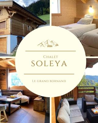 Chalet Soleya