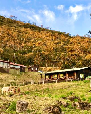 Fazenda Morro Das Torres