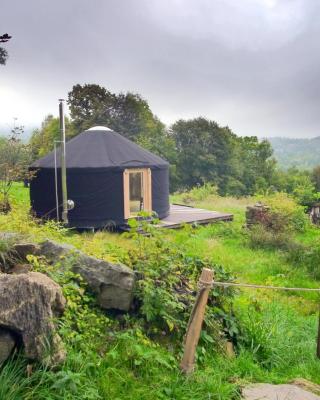 Black Yurt Chromiec