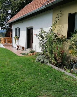 Rural house above the forest