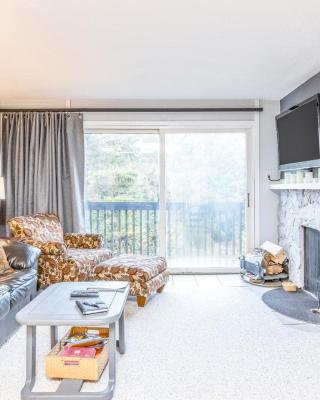 Cozy Crystal Mountain Condo