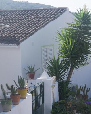 Casa Da Cabeça