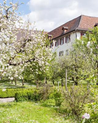Kloster Dornach / Basel