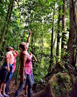 Cecropia Ecolodge