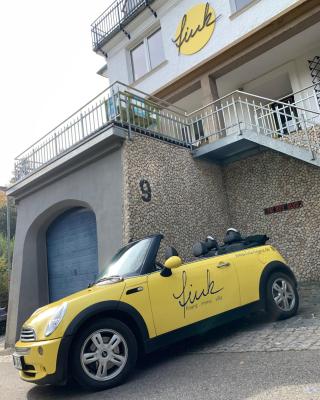 Villa Fink