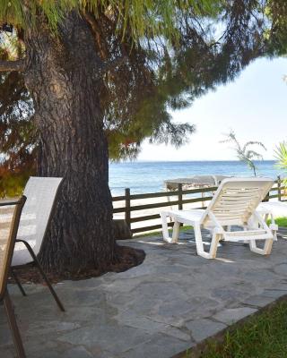 Barlee Beach Front House, Metamorfosi