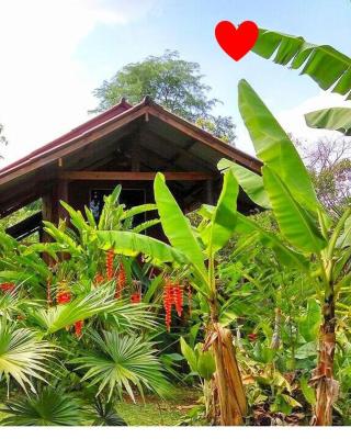 Pencave Homestay