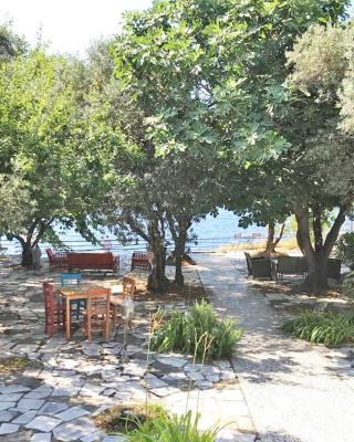 ada-art guesthouse design rooms next to beach