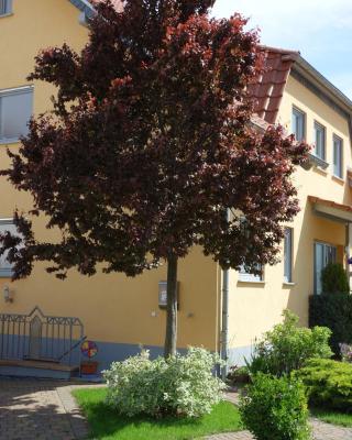 Antjes Ferienwohnung Flonheim