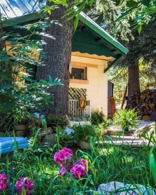 Cottage On The Stream Sundance, Utah