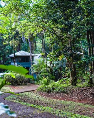 Ferntree Rainforest Lodge
