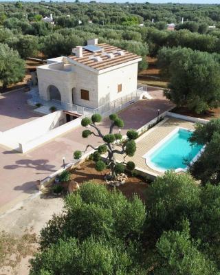 La Dimora negli ulivi