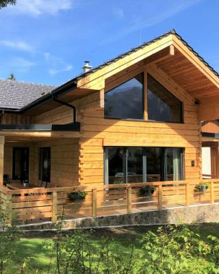 Chalet in Tauplitz with sauna in ski area