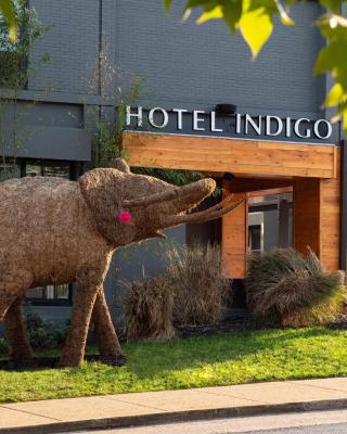 Hotel Indigo Chattanooga - Downtown, an IHG Hotel