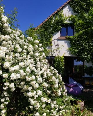 chambre d'hôtes de charme, un temps en forêt