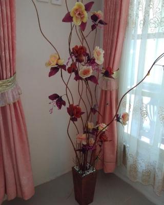 Homestay Anggur