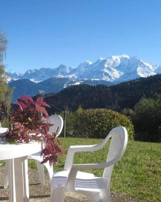 Charmant studio avec vue sur le Mont Blanc - 22 m² - Cordon