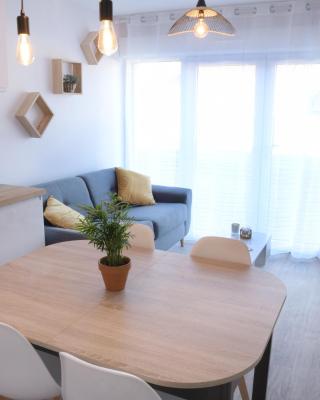 Appart T2 avec terrasse, parking et wifi