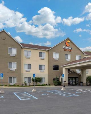 Comfort Suites Auburn near I-69