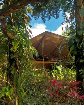 Cascada Verde Eco Lodge & Hostel