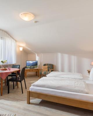 Ferienwohnanlage-Oberaudorf 1 Zimmer App E 8 mit Hallenbad und Sauna