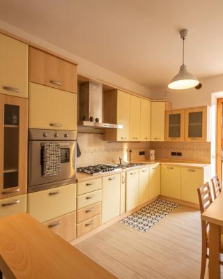SEVEN ALDO FLAT