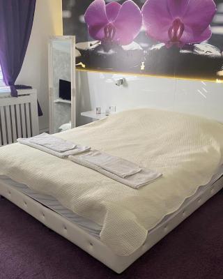 Vladana DELUXE App 2