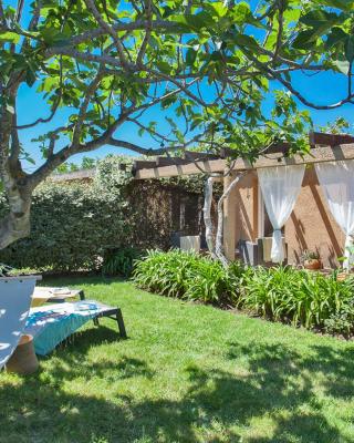 maison kiwi avec piscine chauffée terrasse jardin et bbq à Calvi