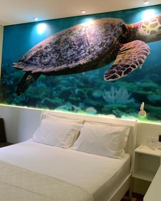 Suite Turtle