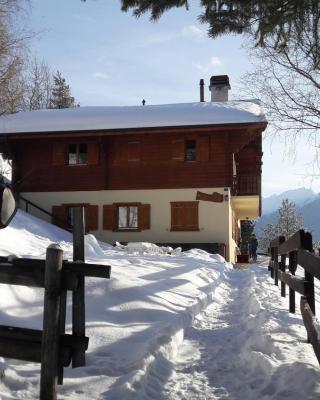 Chalet Faigaux