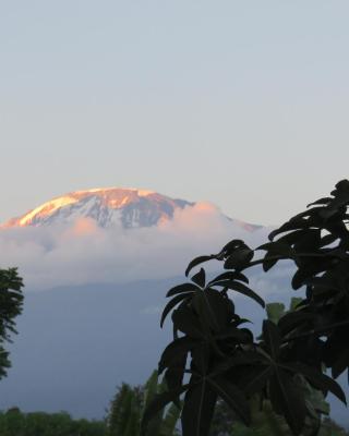 Kilimanjaro White House Hotel