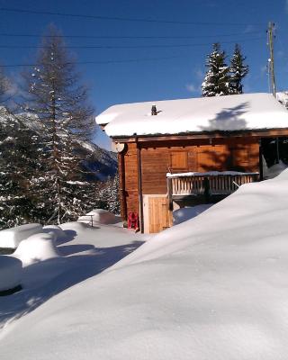 Chalet Edelweiss