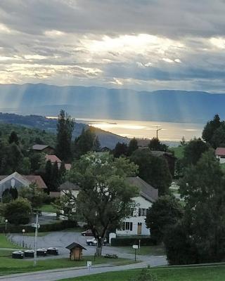 Balcony of lake Geneva