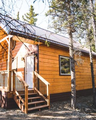 Denali Wild Stay - Redfox Cabin, Free Wifi, private, sleep 6