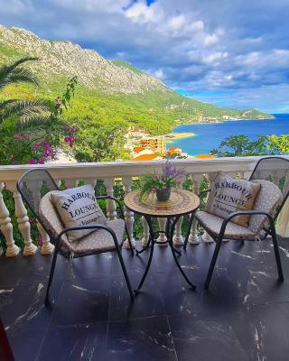 ĆOSIĆ APARTMANI IGRANE